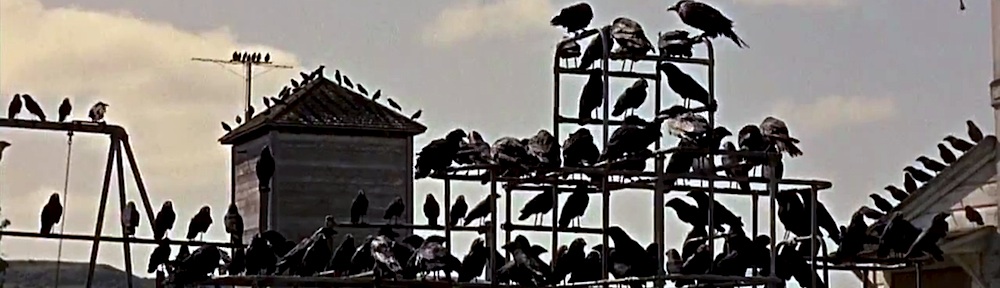 Image result for birds movie playground